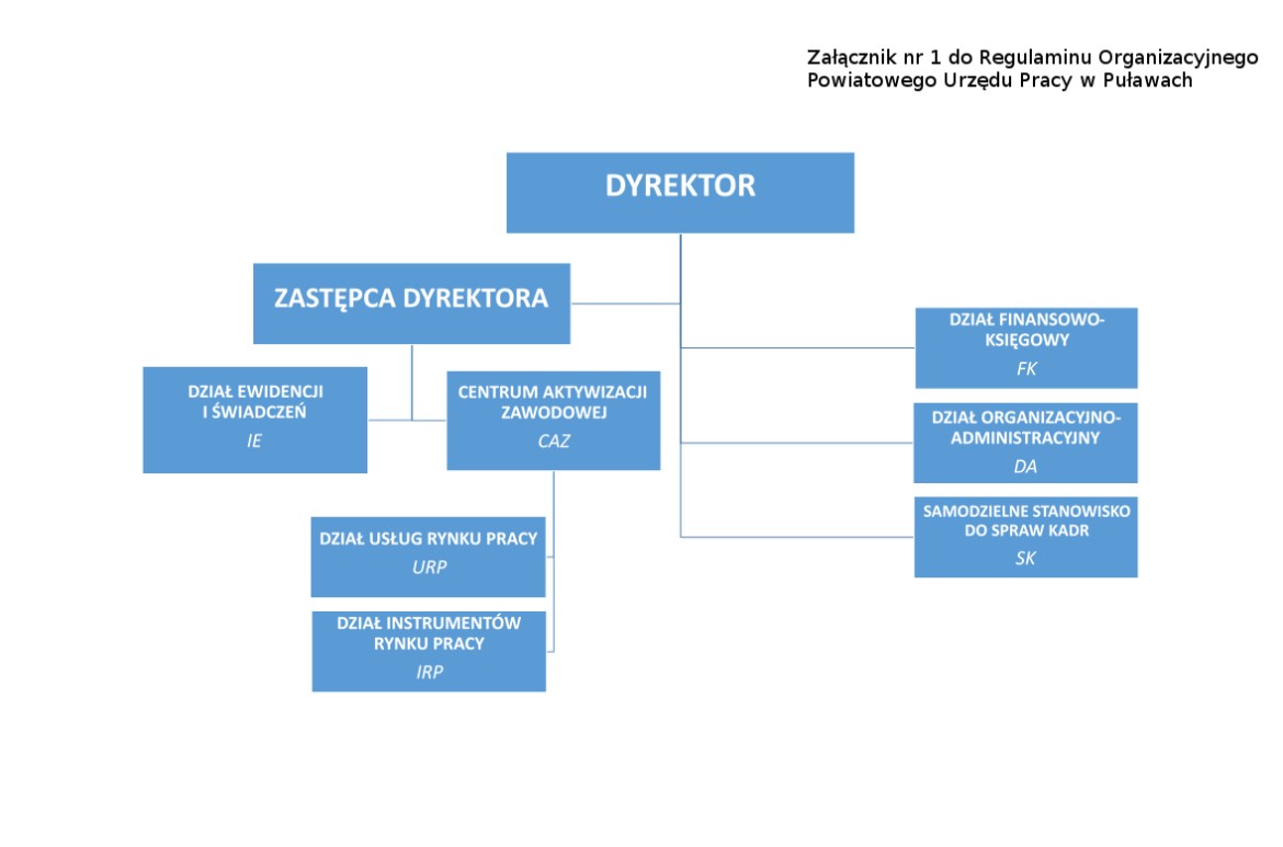 Schemat struktury organizacyjnej PUP w Puławach